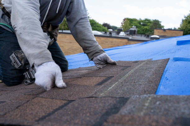 Best Roof Repair Services  in North Vernon, IN
