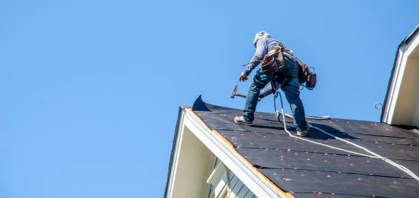 Best Roofing Contractor Near Me  in North Vernon, IN